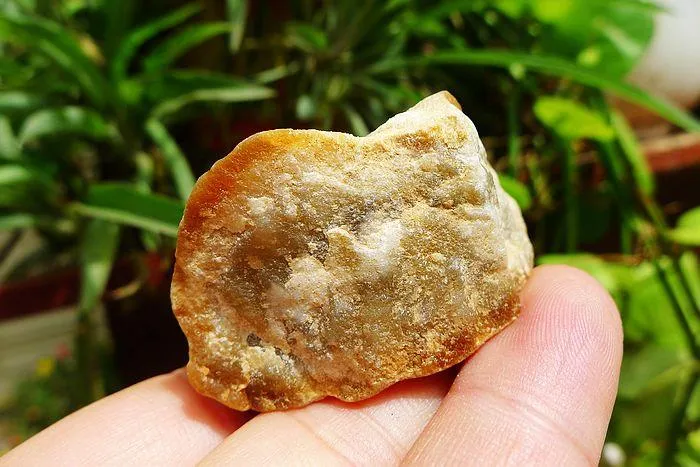 Natural Jade Rough Jadeite Raw (55g,3.9X2.8X2.6cm)