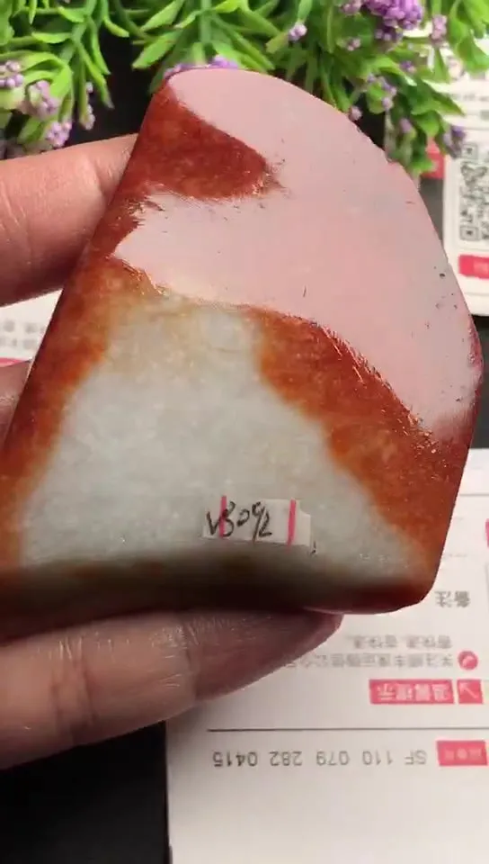Natural Jade Rough Jadeite Raw (66g,7.4x5.0x1.0cm)-S3092