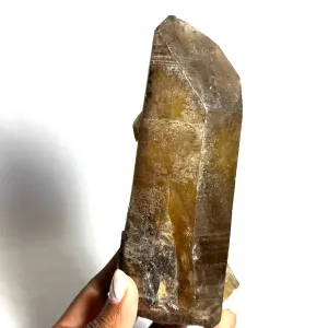 Natural Zambian Citrine Point, Citrine Quartz From Mansa, Zambia, Citrine Points