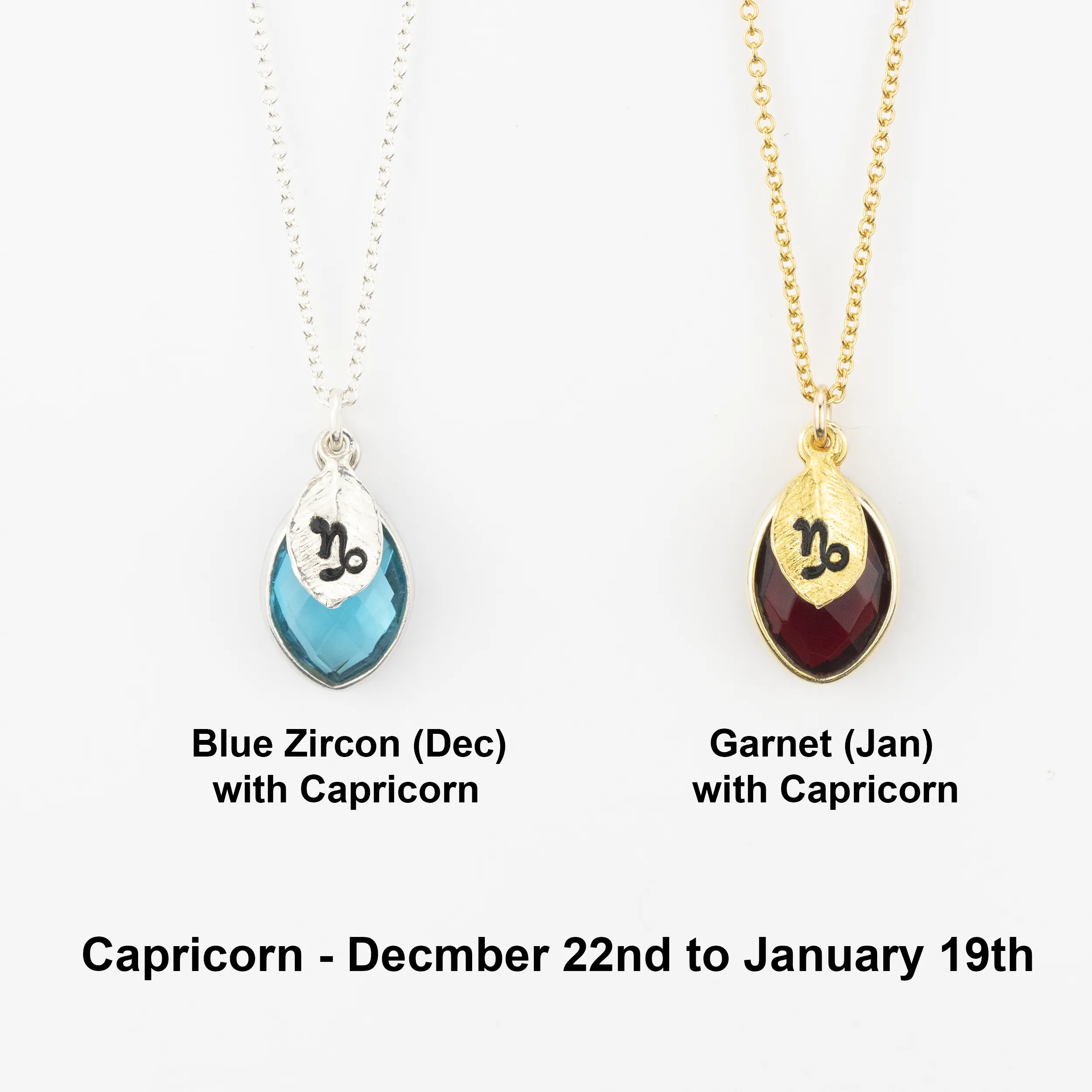 Zodiac Birthstone Necklace